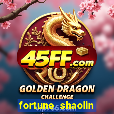 fortune shaolin soccer demo